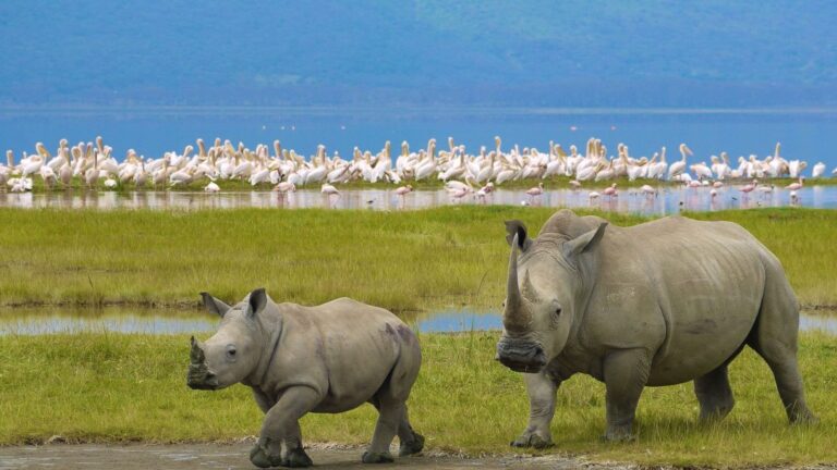 Kenya Group Joining Safaris: Fixed Departures from Nairobi