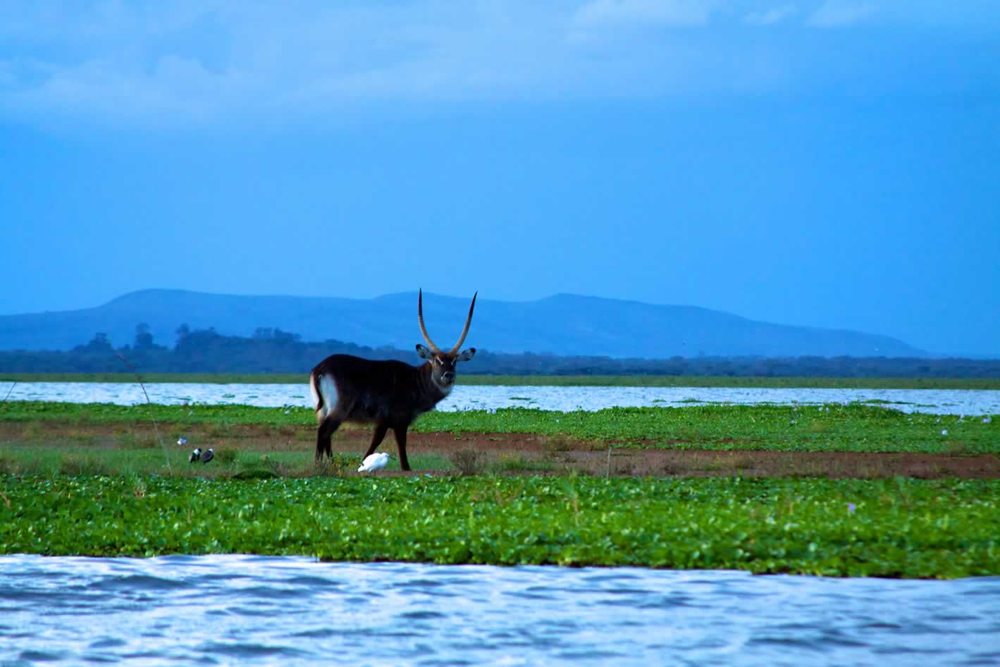Team building venues in Naivasha: what you will see