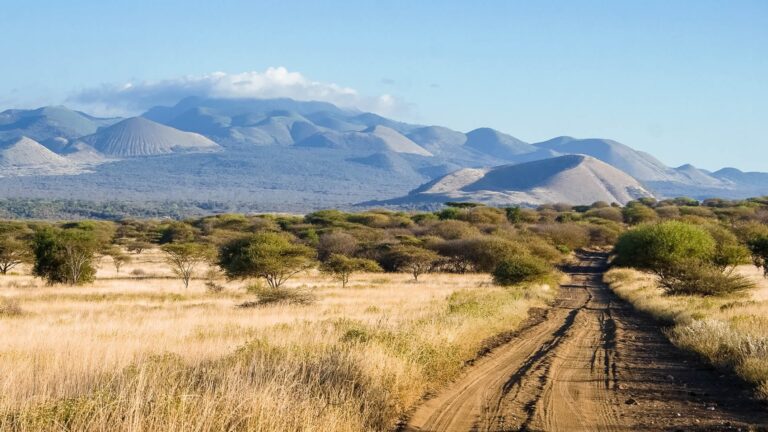 Mombasa and Diani Day Trips and Excursions