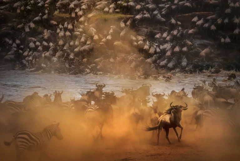 Best Time to Visit the Maasai Mara (Month by Month)