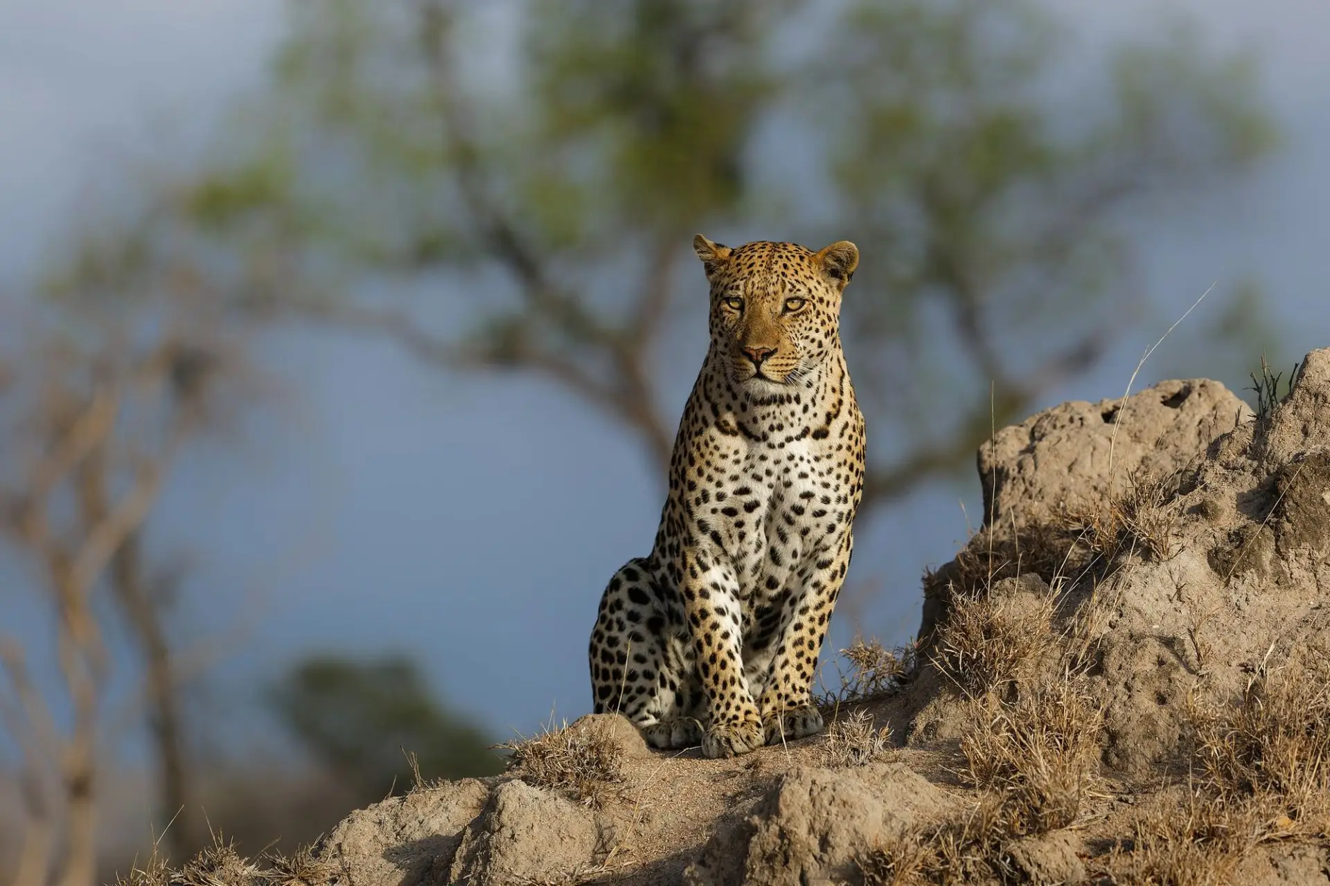 10 day Kenya photography safari: what you will see