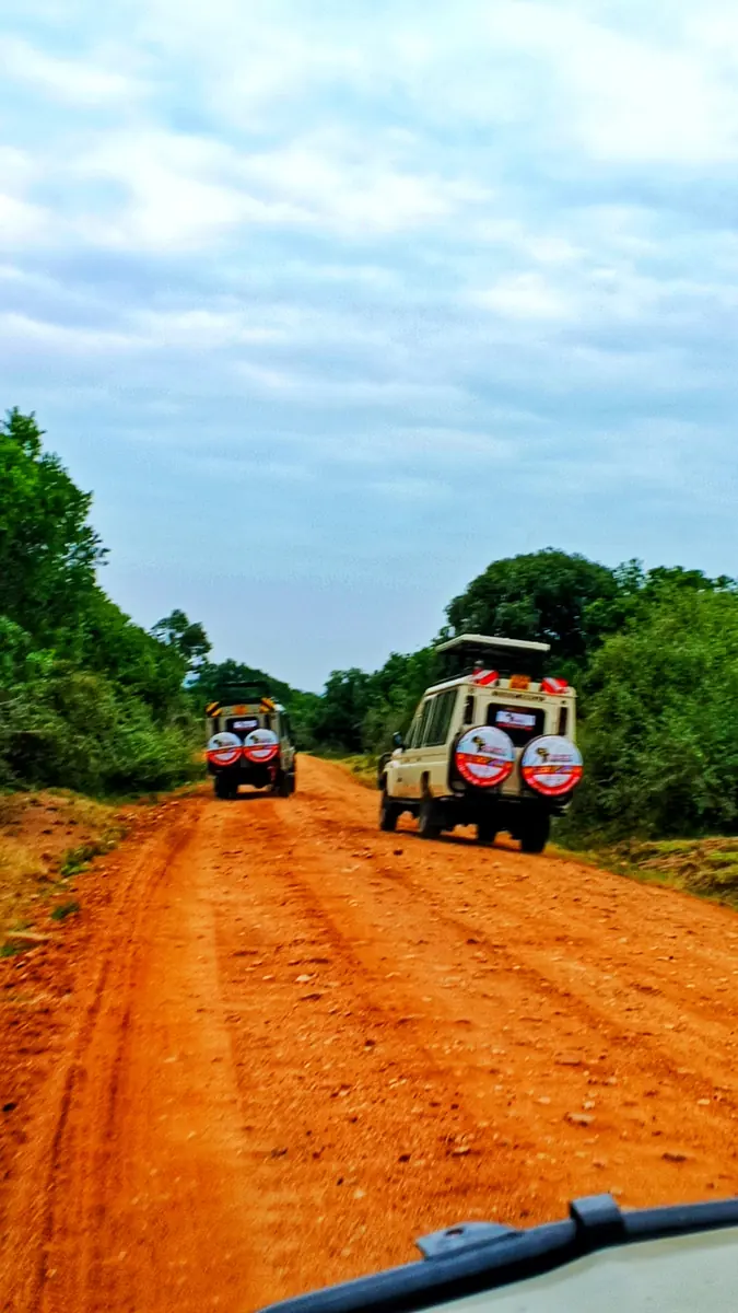 Safari vehicle on a country road