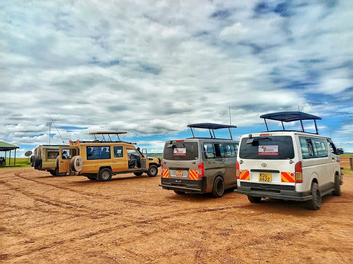 Safari vehicles lined up before a trip