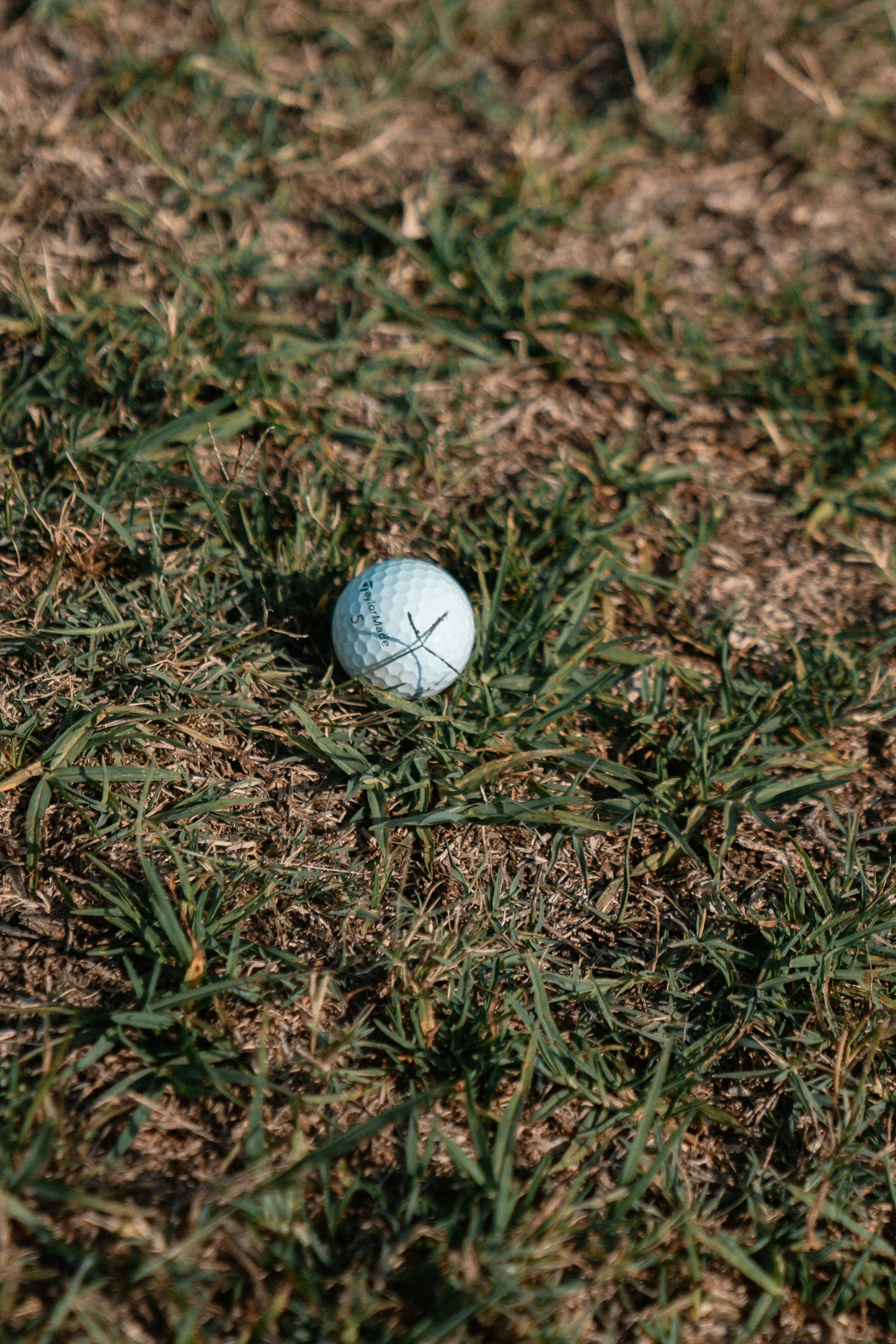 Ready to tee off