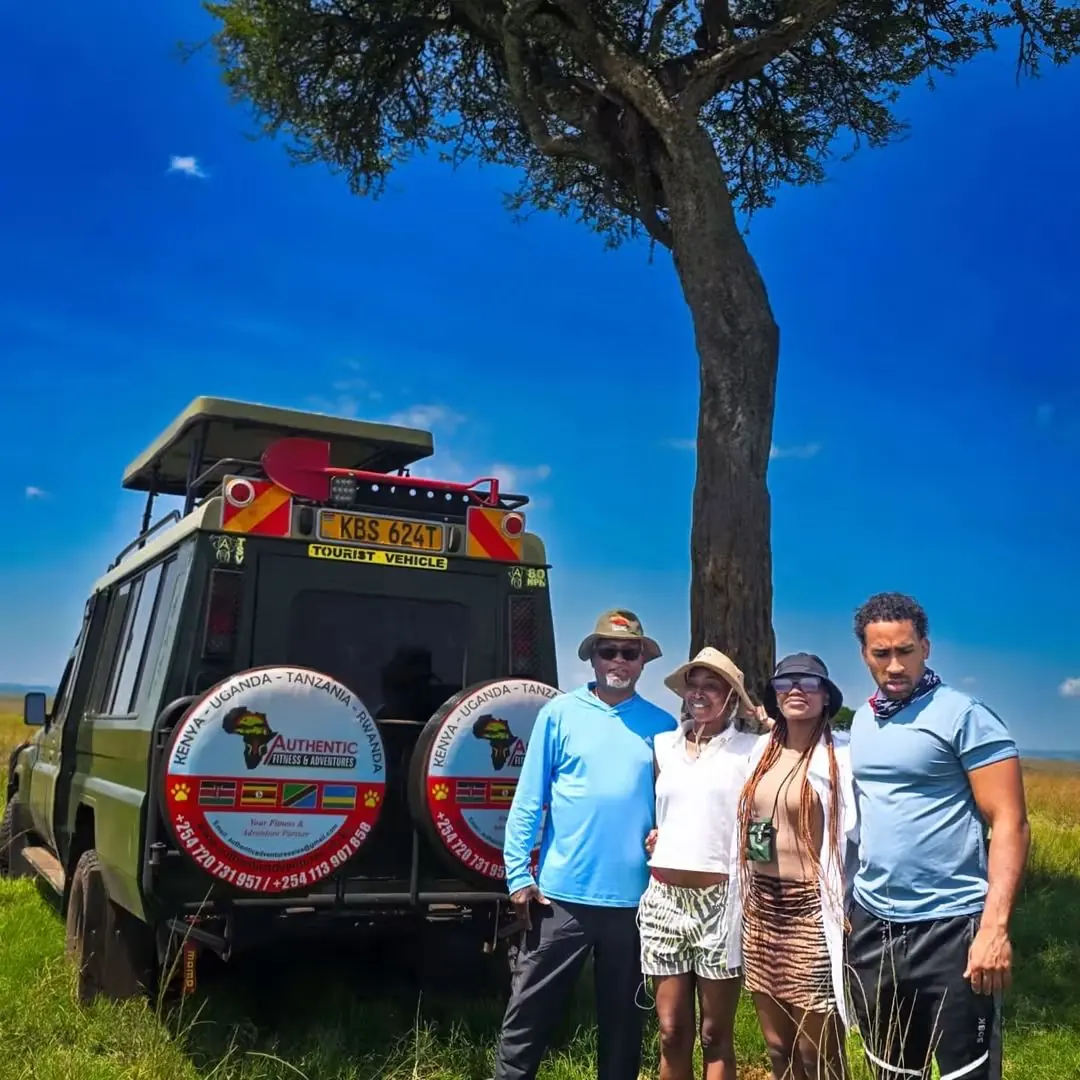 Guests watching wildlife on a game drive