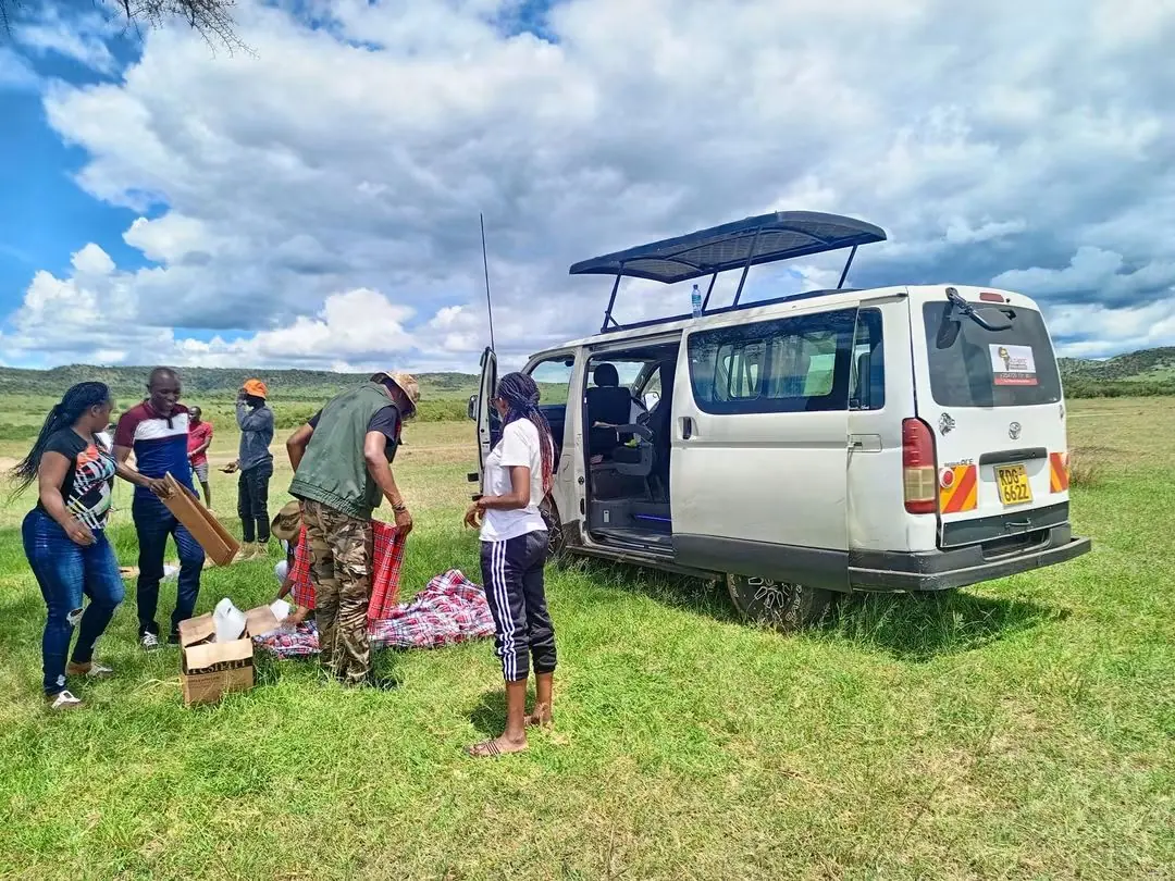 Guests having a picnic