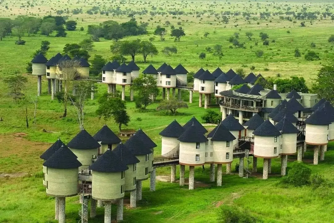 Salt lick lodge raised on stilts in Taita Hills