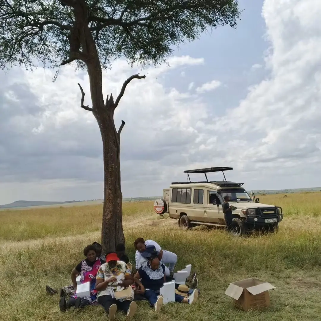 Picnic lunch in the Masai Mara