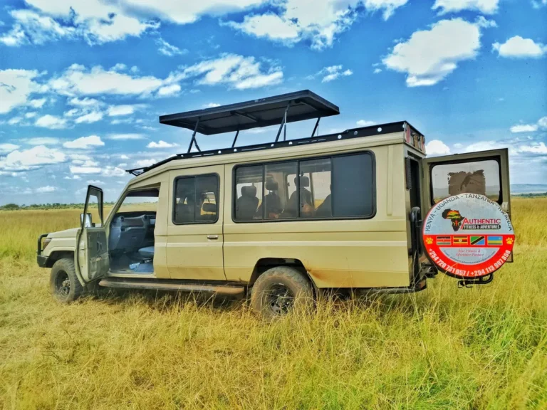 3 Day Masai Mara